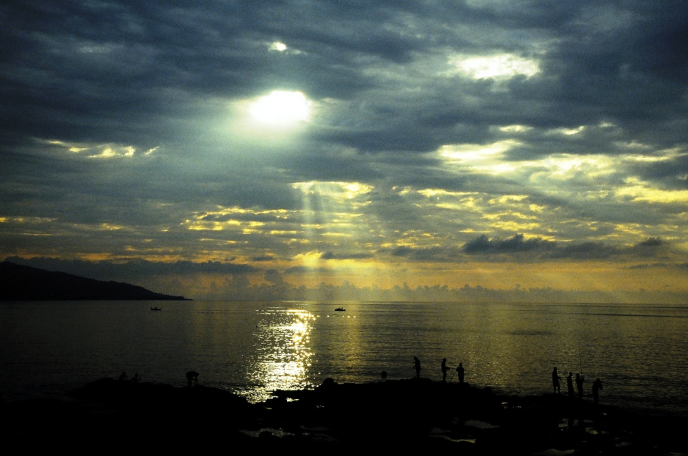 Doğa Yürüyüşü (trekki̇ng) - Aytepe İnönü Yaylasi - Fotoğraf 2
